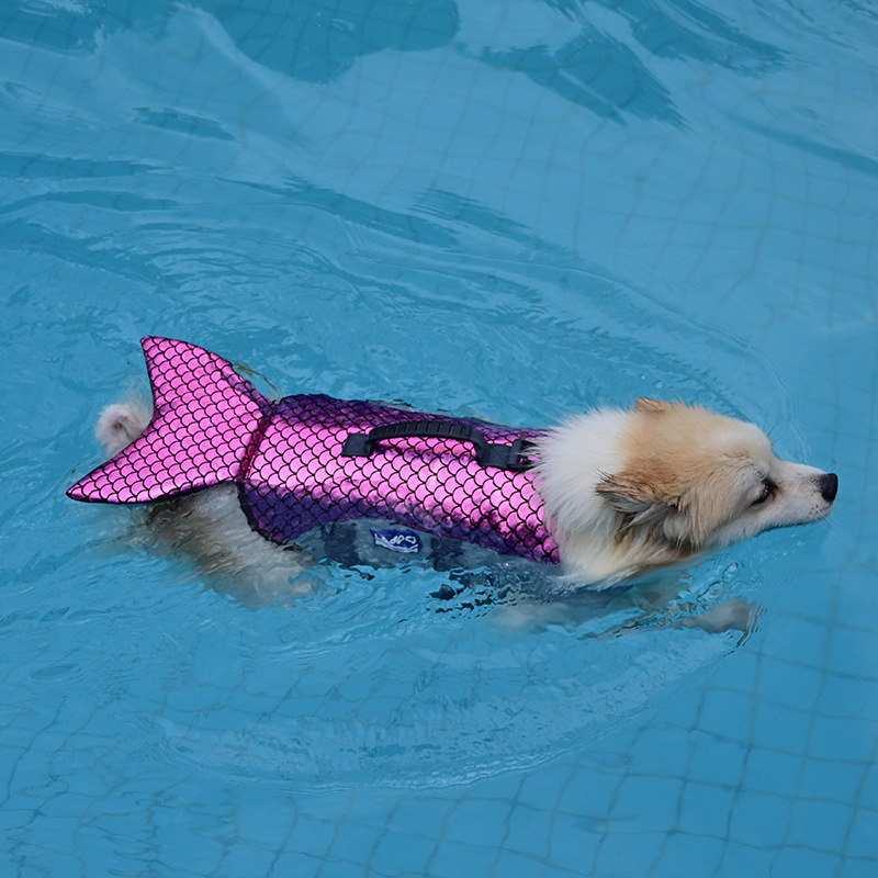 道格人鱼公主cosplay宠物救生衣狗狗游泳衣大中型狗夏天游泳服
