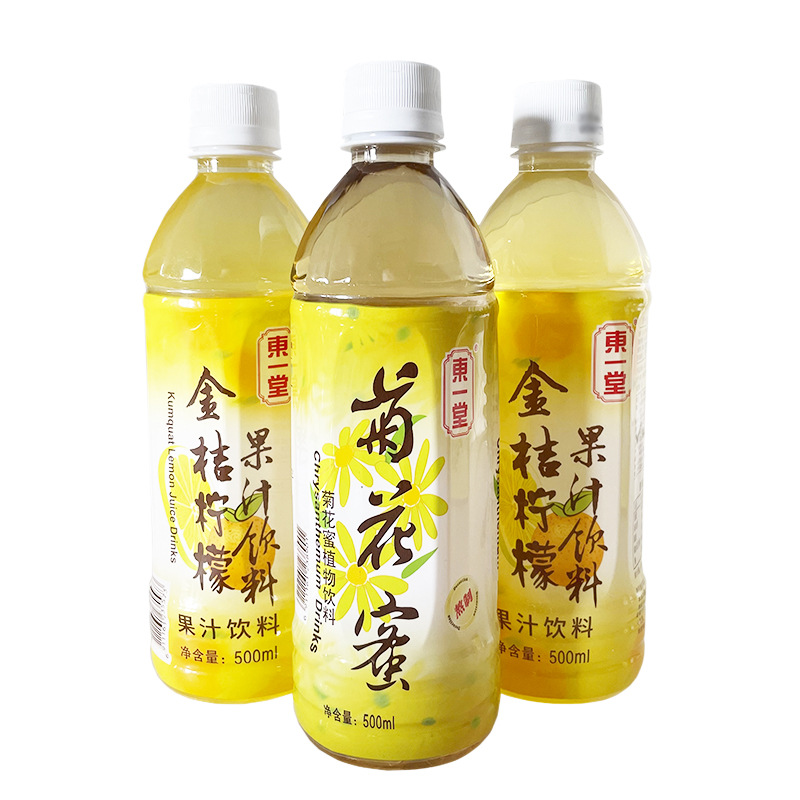 东一堂菊花蜜植物饮料500ml*15瓶金桔柠檬果汁饮料夏季网红茶饮品