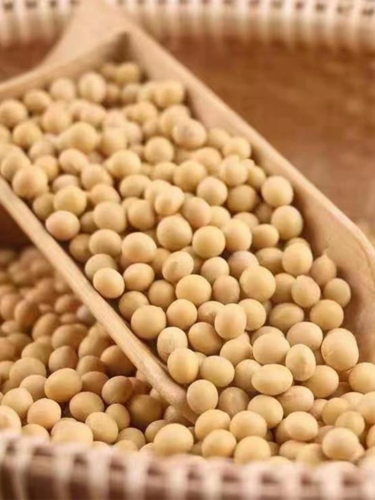 今年新非转基因东北黄豆笨黄豆黑山圆粒黄豆香甜-阿里巴巴