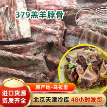 乌拉圭379羔羊脖骨碗骨肉大羊蝎子满肉多肉店可用食材大量批发
