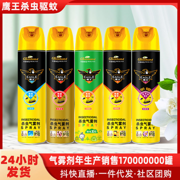 鹰王家用杀虫剂喷雾苍蝇蚂蚁跳蚤臭虫非无毒灭蚊虫气雾剂跨境热卖