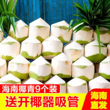 海南红椰子三亚特产新鲜水果黄金椰子九个装包邮现摘带皮送开椰器