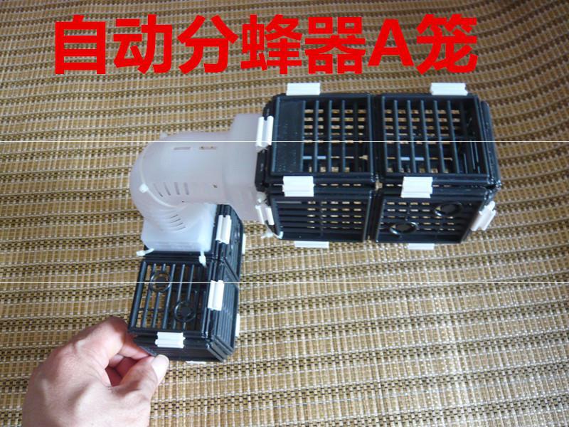 去除门收蜂防止神器雄格子中蜂王片自动蜜蜂隔老式分蜂器蜂巢逃跑