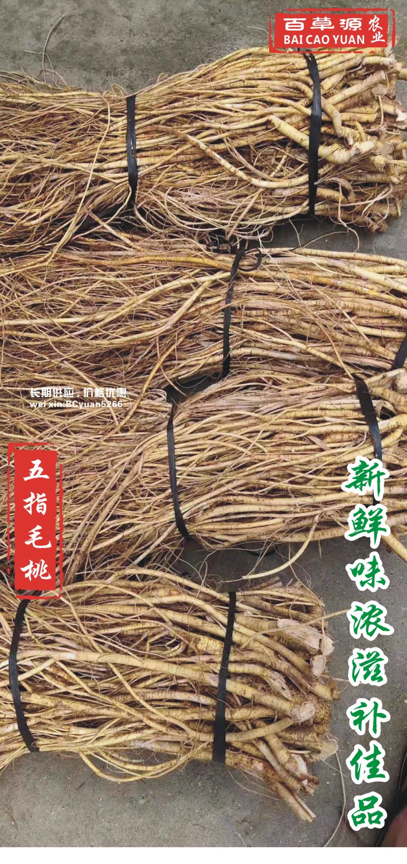新鲜五指毛桃根鲜货500g(纯根不带树头)种植生鲜五爪