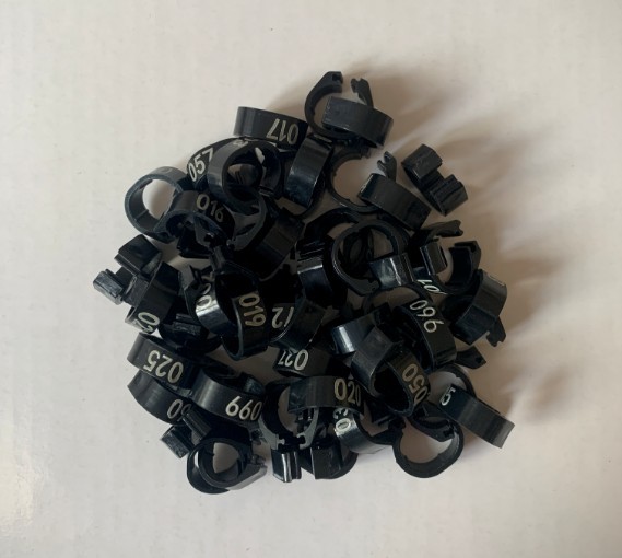 鸽子脚环用品用具窄环记号环信鸽塑料卡环无字数字识别环高