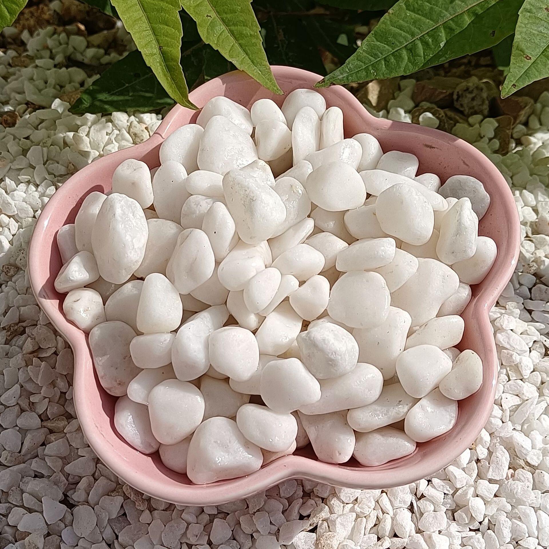 厂家供应批发造景白石子 山水造景用白卵石 日式枯山水用白石子