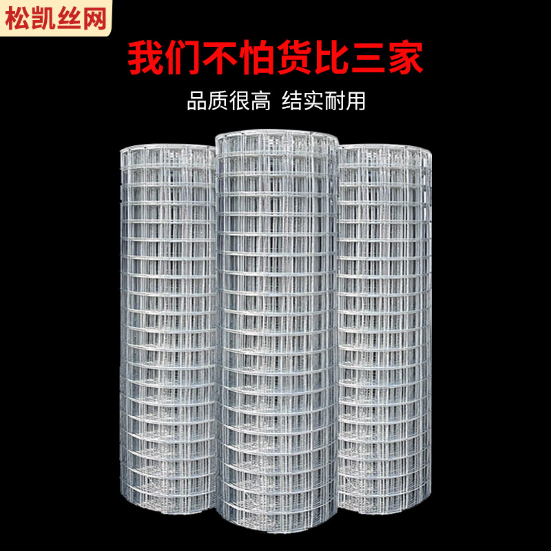 热镀锌电焊网外墙抹灰批荡网防鼠养殖工艺手工制作机械防护铁丝网
