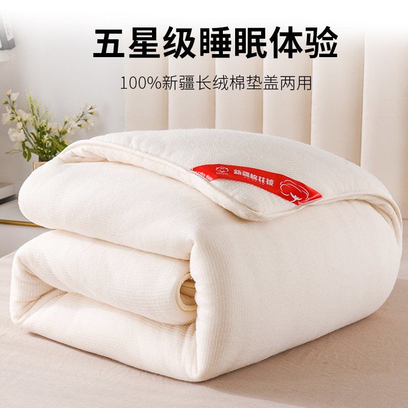 Xinjiang Warm Cotton Quilt Core