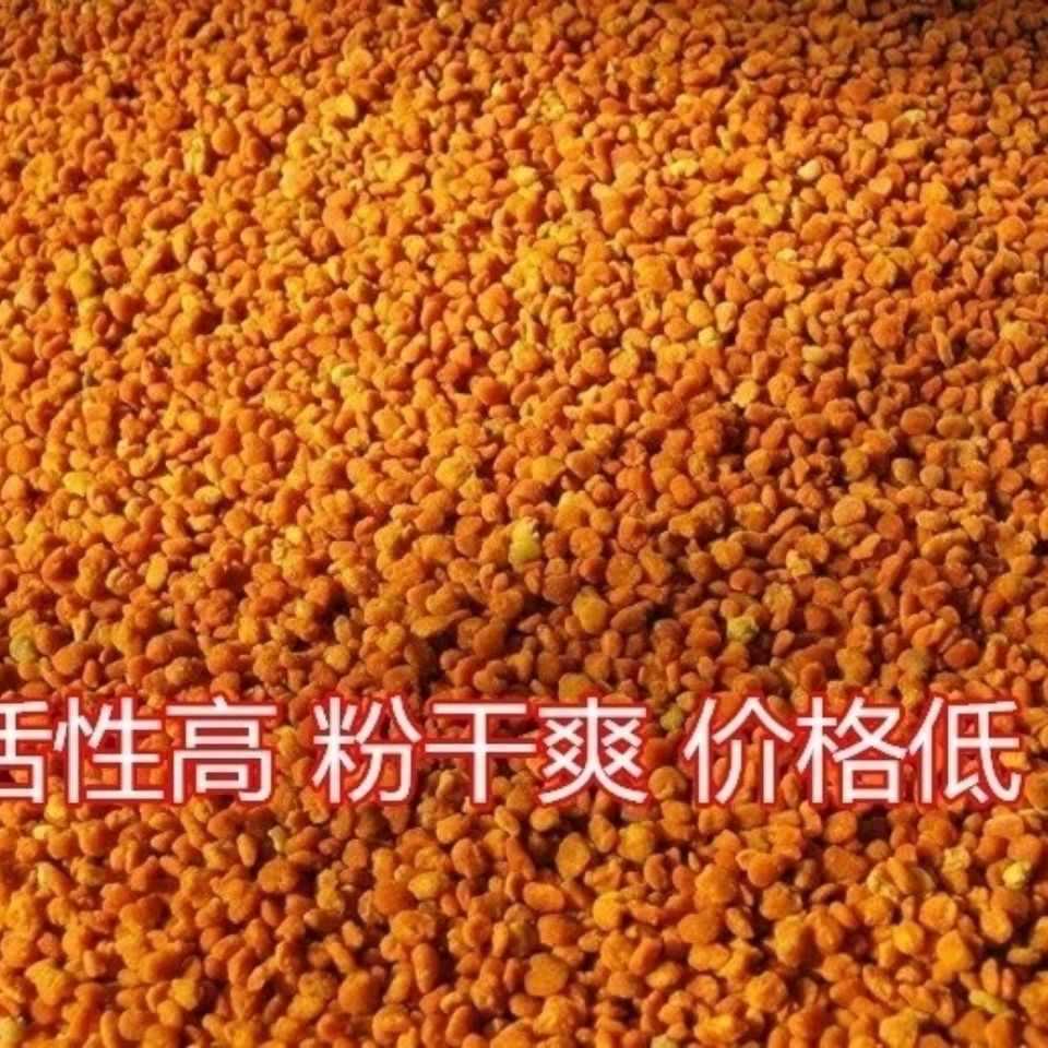 新鲜四川茶花粉喂蜂花粉蜜蜂饲料茶叶花粉颗粒状蜂粮-阿里巴巴
