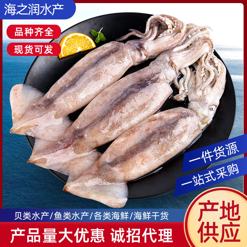 船冻鱿鱼 一手货源阿根廷秘鲁东南太平洋鱿鱼箭鱿冷冻鱿鱼-阿里巴巴