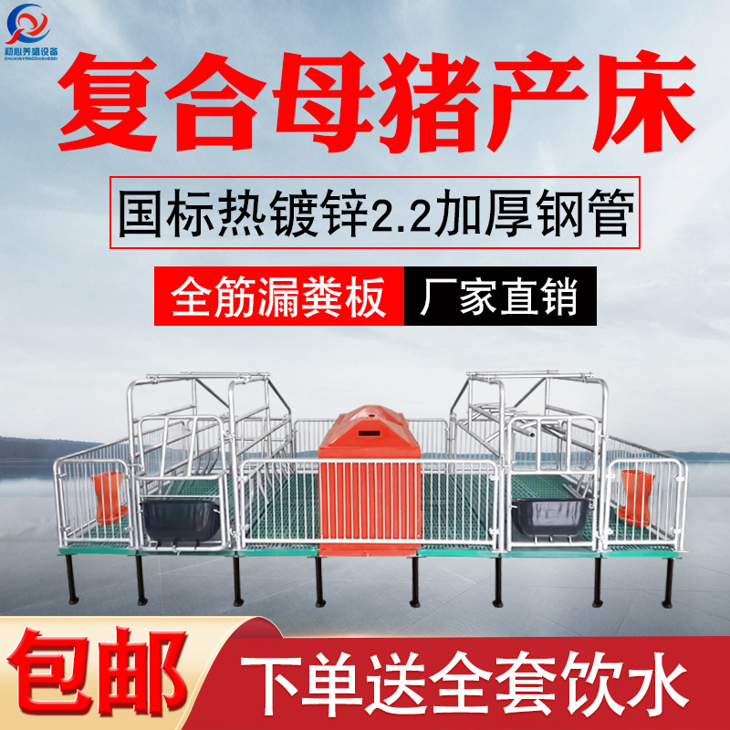 母猪产床保育两用热镀锌复合板单双一体定限位栏养殖设备分娩包邮