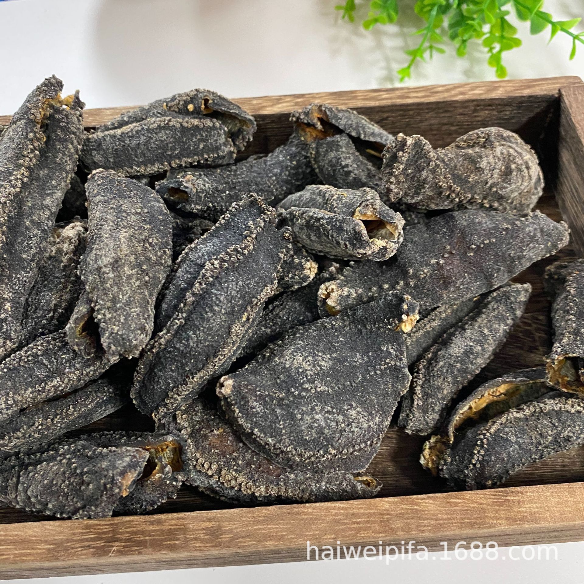 厂家批发海参皮现货俄罗斯加拿大足干海茄子25-30头酒店食材煲汤