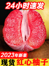 红心柚子2023年新果平和红肉蜜柚现摘当季红柚新鲜水果现货