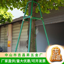 树木支撑架中山大树撑杆钢管防风防腐固定器支架绿化园林支撑器