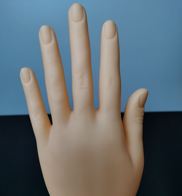 塑料仿真女手模型pvc肤色女手长款 手套手模戒指手链饰品展示假手