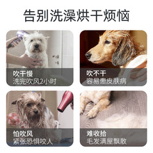 宠物烘干袋狗狗金毛洗澡中大型犬家用全自动吹毛烘干箱神知日鸣贸