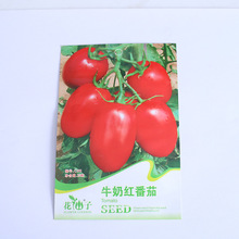 红牛奶小番茄小西红柿种子蔬菜种子易种植庭院蔬菜
