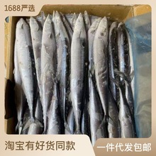 秋刀鱼深海新鲜鲜活冷冻10kg日料烧烤海鲜食材整箱90条左右精致懒