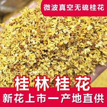 散装批发广西桂花茶 脱水干桂花清香花草茶优选食用金桂花干