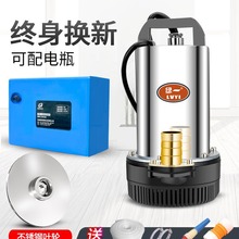 直流潜水泵12V24V48V60V伏电瓶车小型水泵电动车抽水泵农用抽水机