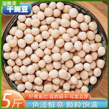 5斤白豌豆 农家自种生豌豆干豌豆粒可发豆芽煮粥重庆小面配料杂粮