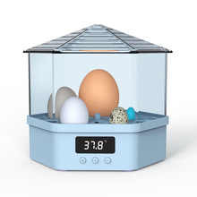 小鸡孵化器小型家用迷你孵化机全自动智能儿童实验鸟蛋孵蛋箱