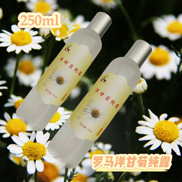 新疆罗马洋甘菊纯露洋甘菊花水250ml