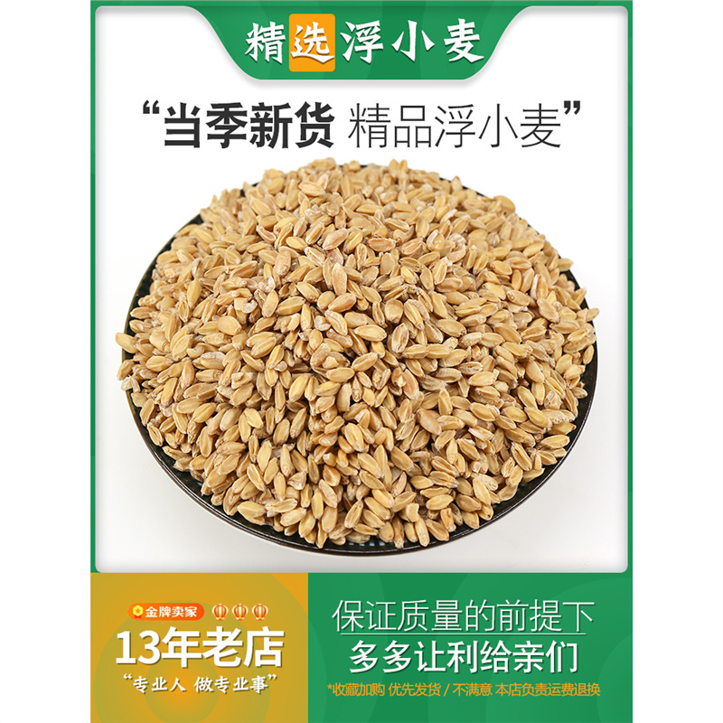 浮小麦中药材止汗 浮小麦茶 浮麦 瘪小麦500g-阿里巴巴