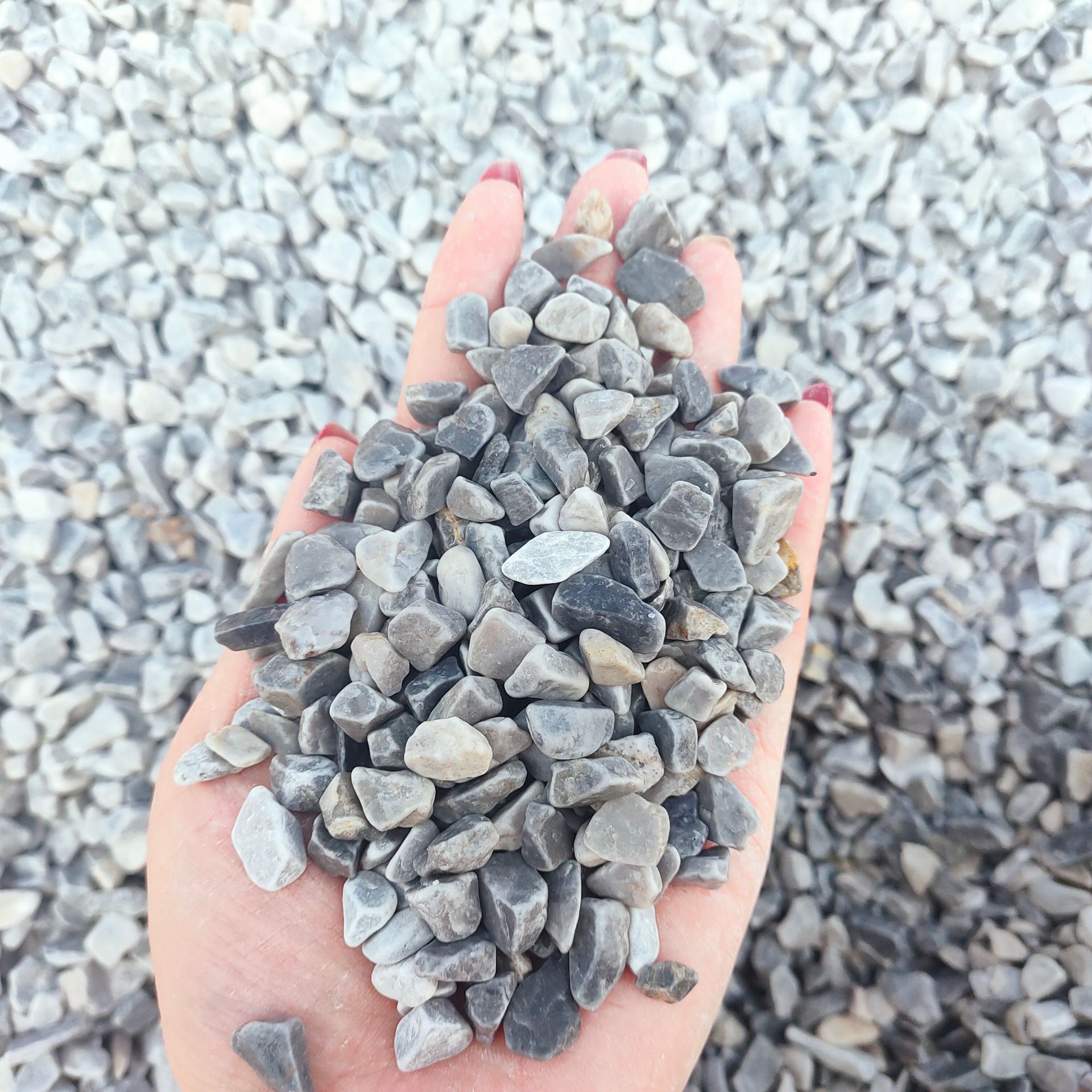 混凝土骨料灰色石子 灰色工程铺路胶粘石 白色洗米石铺路黑色碎石