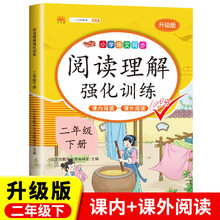 二年级下册阅读理解专项训练书人教版阅读课课堂笔记辅导资料