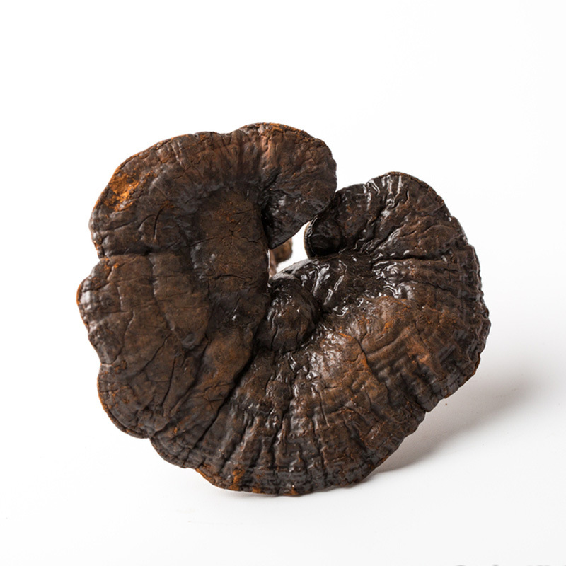 灵芝 紫灵芝野生正品梅州深山不苦野林芝整枝干货野生紫芝500克