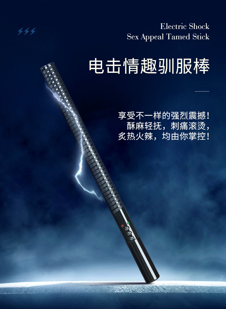 电棍电鞭详情_07.jpg