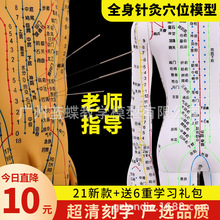 中医针灸人体针灸穴位模型男女模型清晰十二经络铜人体扎针小皮人