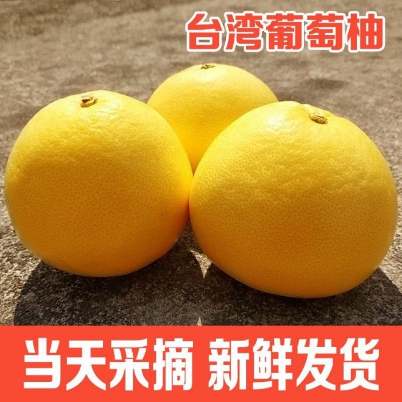 黄金葡萄柚纯甜爆汁新鲜应季水果非红心西柚礼盒装厂一件批发