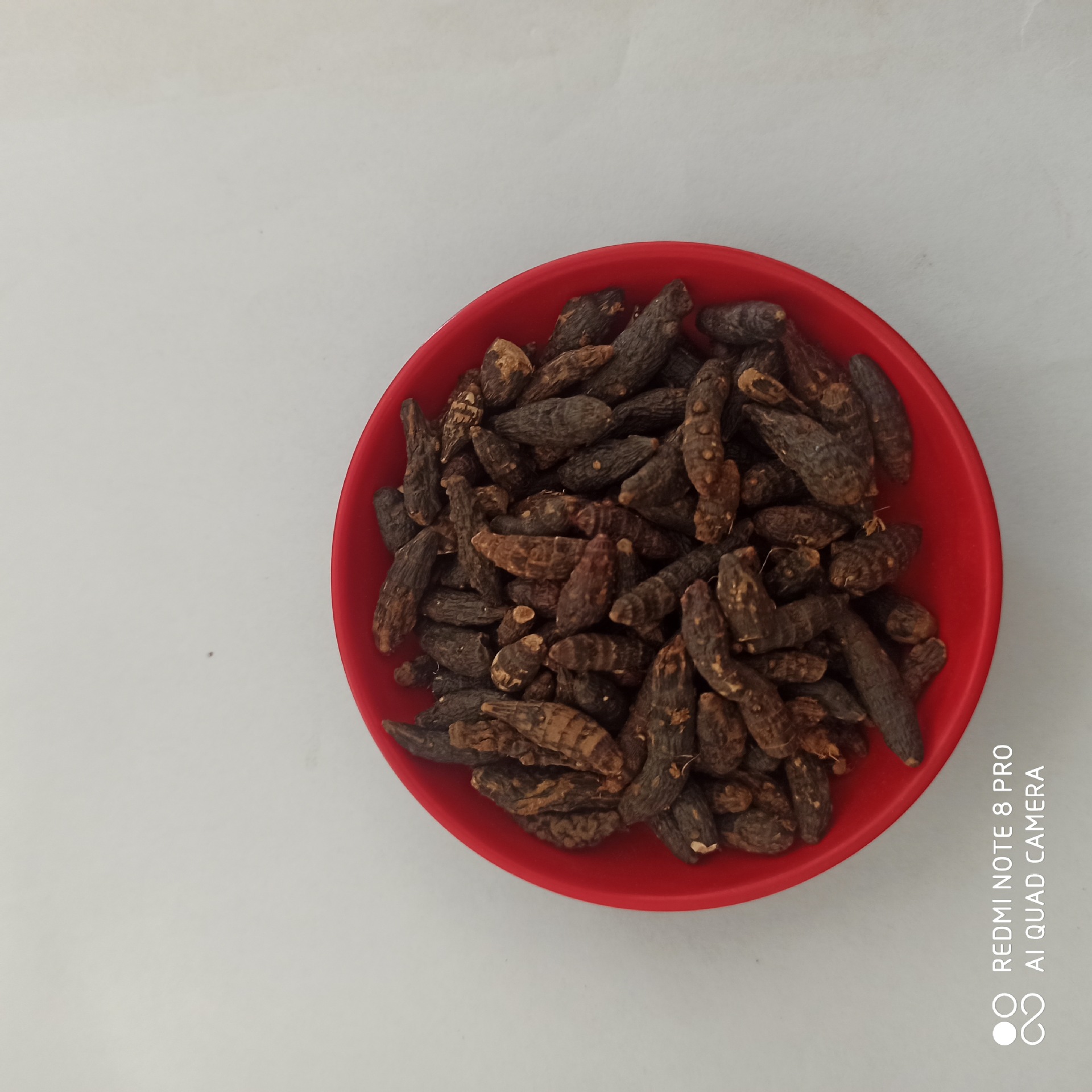 骨碎补500g 骨碎补中药材批发 骨碎补 产地货源 骨碎补