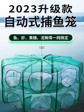 折叠虾笼捕鱼笼只进不出黄鳝渔网龙虾网笼捕虾网鱼网螃蟹抓扑