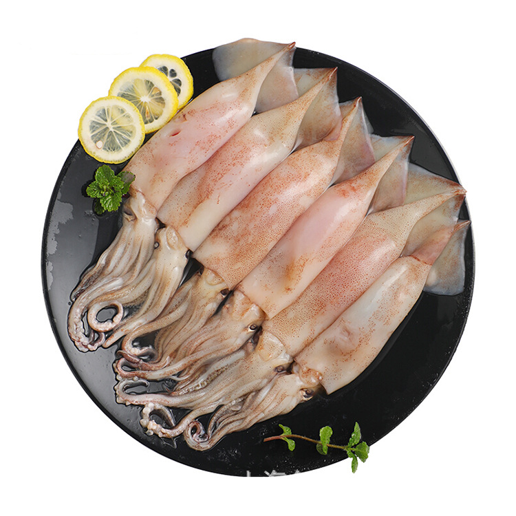 鱿鱼冷冻鱿鱼板冻鱿鱼餐饮原料一箱12.5公斤 2箱起部分城市包运费