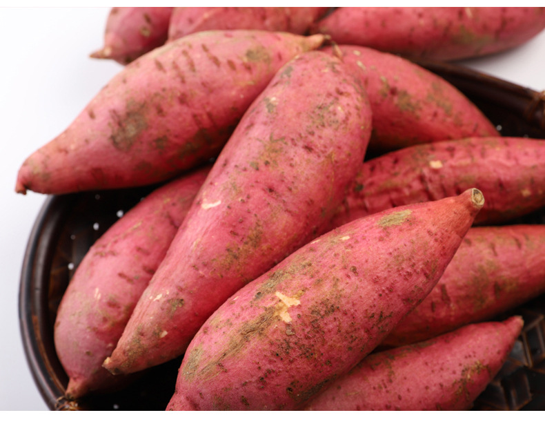 福建漳州六鳌红薯沙地红蜜薯地瓜番薯新鲜蔬菜中小果3斤一件代发