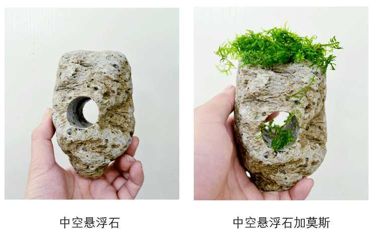 鱼缸造景石缸悬浮石带装饰鱼浮石岩石轻石莫斯浮石
