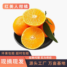红美人柑橘28号 纯甜多汁3/5/9斤 当季新鲜现发非爱媛38号果冻橙