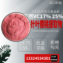 支持检测 针叶樱桃提取物 天然VC 樱桃果粉 维生素C17% 25%百川