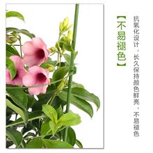 园艺爬藤花架支柱架阳台绿萝月季铁线莲藤本植物攀爬支撑杆客厅