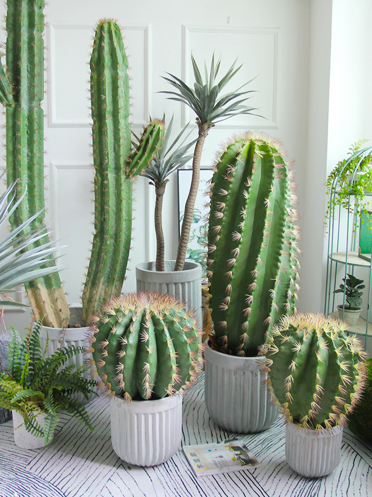 跨境北欧仿真仙人柱植物大型落地仙人掌热带沙漠绿植超大量天尺球