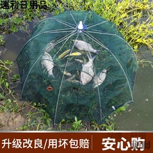 捕鱼神器只进不出鱼网虾笼捕鱼笼折叠抓鱼工具自动捉渔网扑鱼网笼