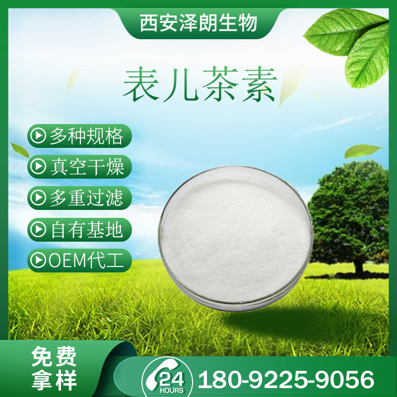 ec(表儿茶素)儿茶素 植物提取物 专业供应100g每袋 现货批发