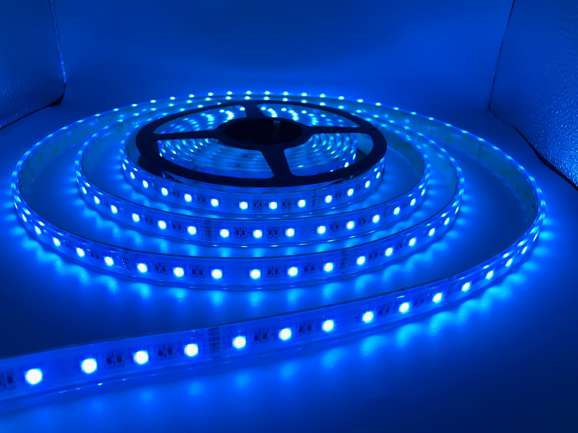 5050rgbw四合一软灯带 24v 60灯空心挤出防水 rgb w七彩防水灯带