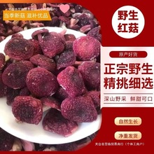 昱临食品福建野生红菇特产干货红椎菇月子菇大红菌无批发零售包邮