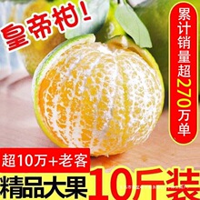 撒星批发零售-广西武鸣皇帝柑新鲜水果当季柑橘薄皮橘子桔子包邮