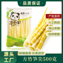 巴食川珍四川火锅笋尖500克/袋方竹笋罗汉笋中餐新鲜批发爽脆笋尖