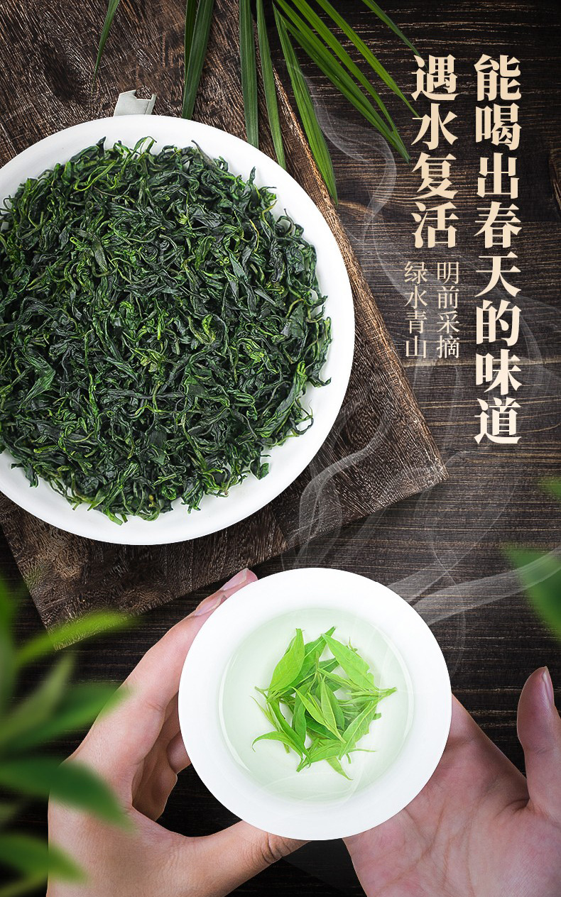 苦丁茶特级海南五指山500g散装大叶苦丁茶非贵州野生苦丁小叶花茶
